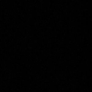 Meet your Posher, Peter